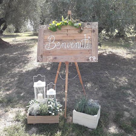Agriturismo Fonteregia Montecatini Terme Luaran gambar