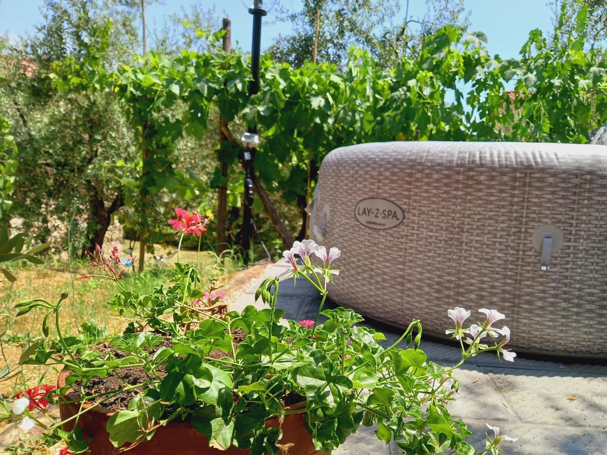 Agriturismo Fonteregia Montecatini Terme Bilik gambar